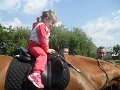Den deti 2017   94